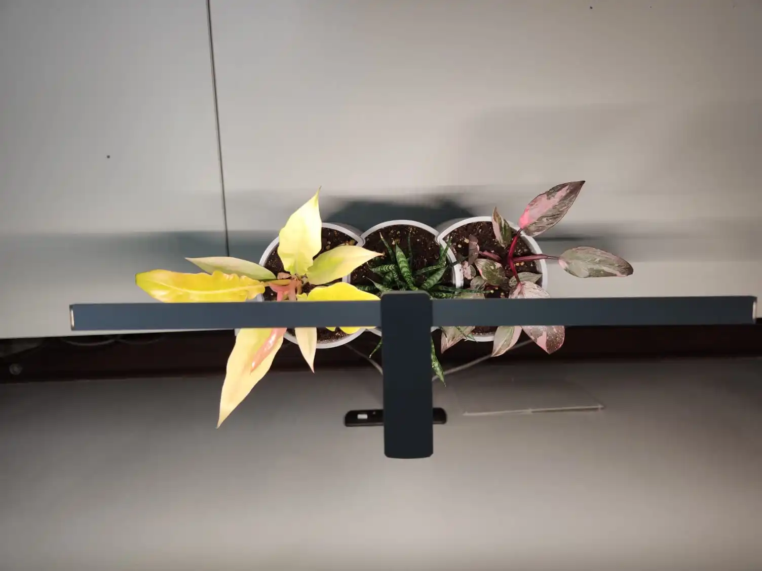 Good End Price High-Efficiency Silver Color Smart Led Strip Light For  Promoting The Growth And Health Of Your Plants