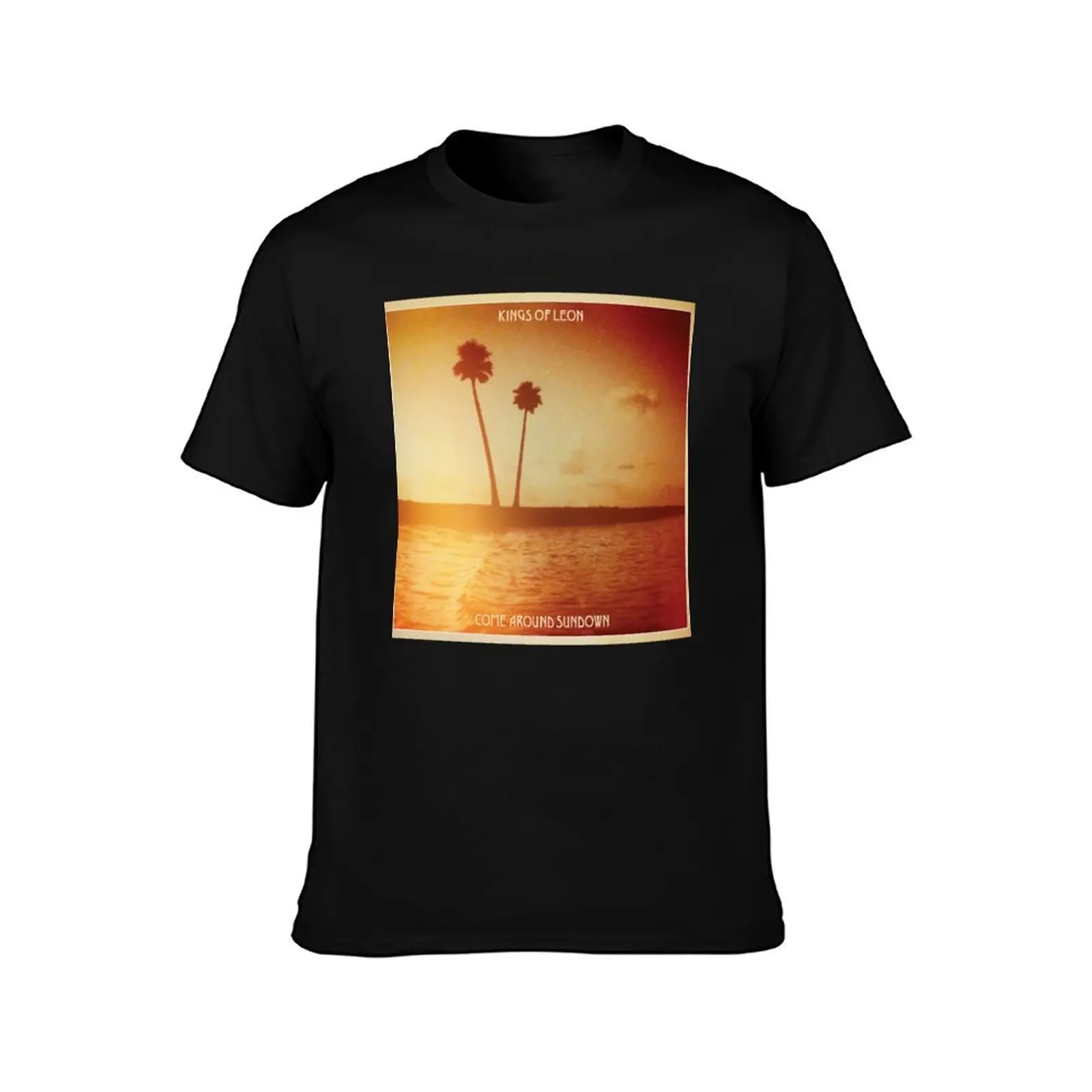Kings of Leon aha shake heartbreak come around sundown T-Shirt Outdoor Activity Sports T-Shirt