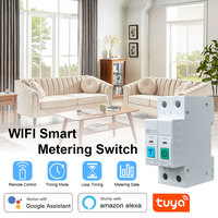 TUYA 1-63A 2P WIFI Smart Switch Energy Meter Circuit Breaker voltage current leakage protection Relay cut off L+N