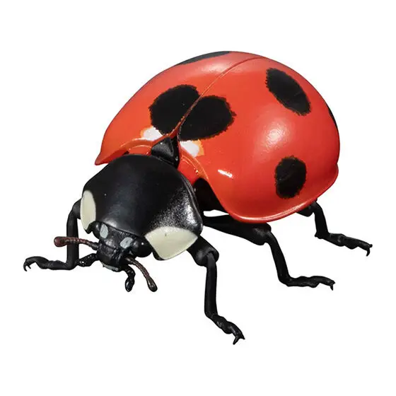 Japanese Genuine Gacha Scale Model Biological Cognitive Model Ladybird Simulation Seven Spotted Lady Beetle Action Figure Toys