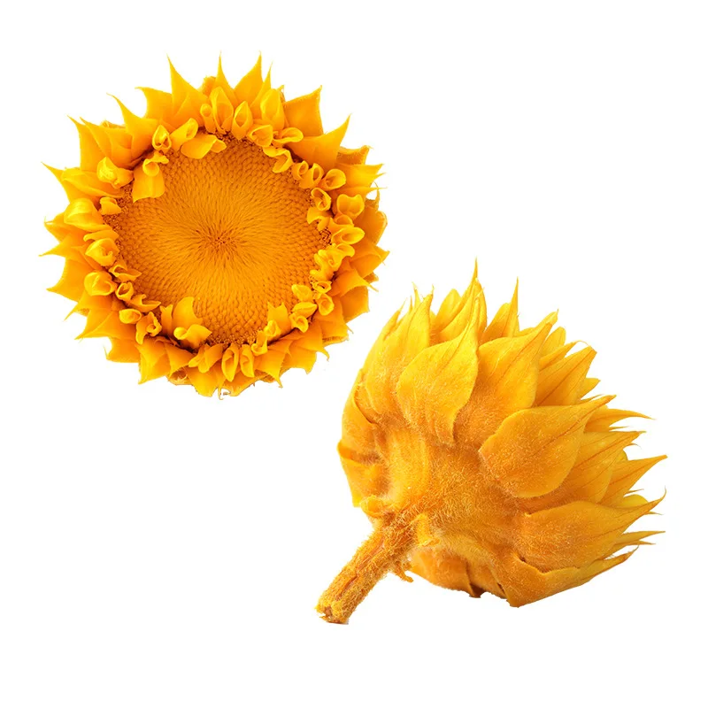 Eternal sunflower 7-8cm, the sunflower that never fades, for wedding, a meeting, DIY essentials