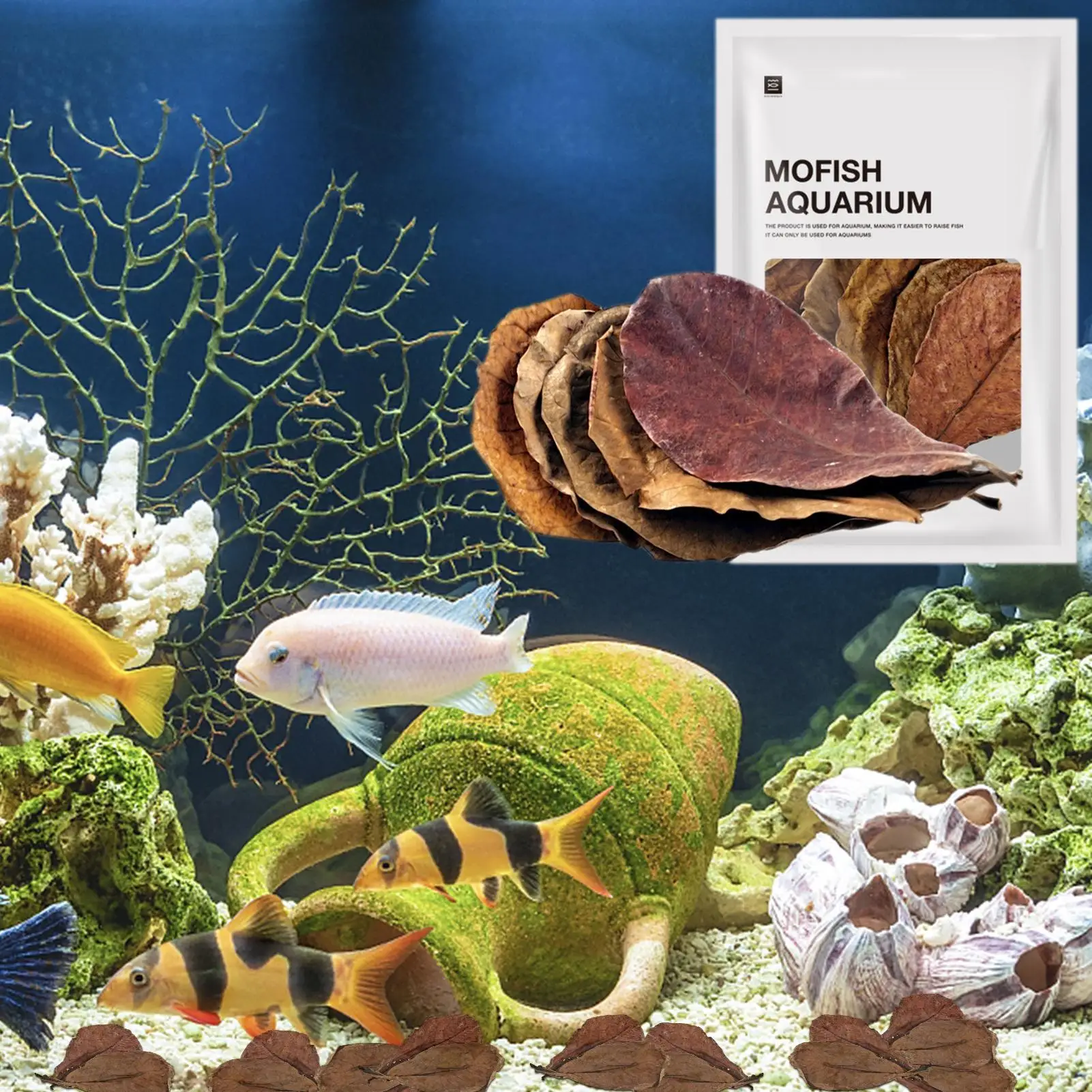 Catappa الهندي اللوز ترك بيتا الروبيان يترك محطة طبيعية فوتيدا يترك خزان الأسماك أوراق تنظيف المياه #5