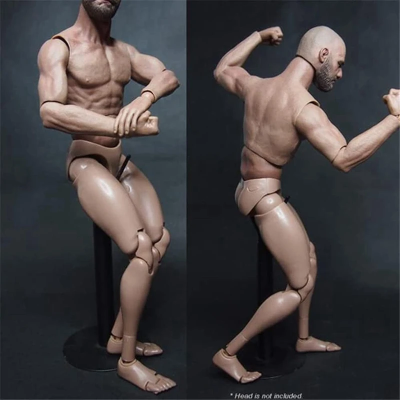 Narrow Shoulder Male Body Doll Action Figure For TTM18 TTM19 Hot Toys & Human Body Sketch Model