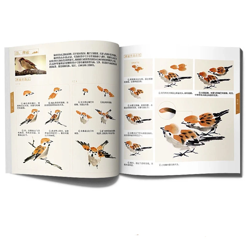 Chinese Traditional Painting Landscape Flower Bird Introductory Book Line Art Sketch Album Chinese Painting Floral Drawing Book