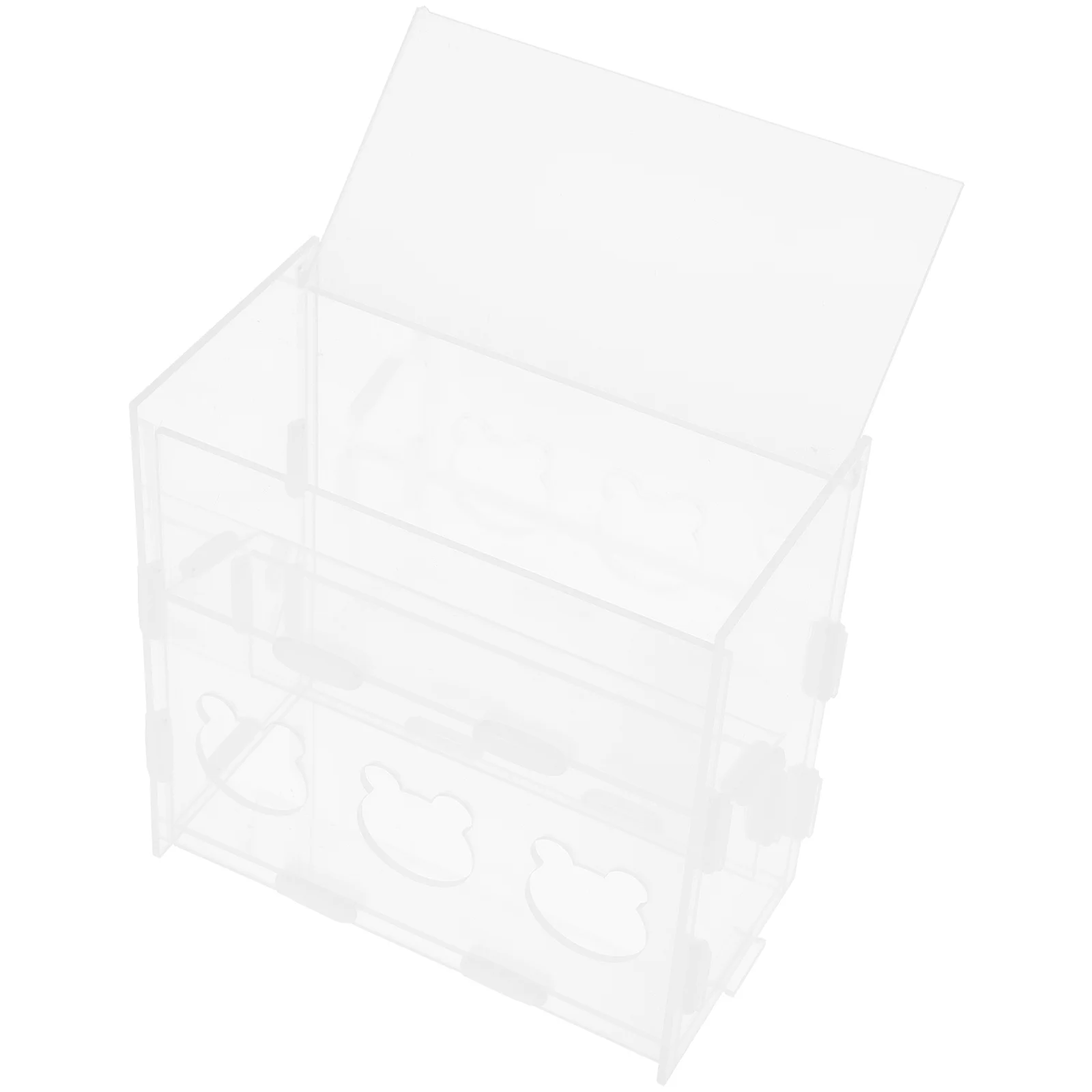 

Multi-Use Automatic Chicken Feeder Transparent Acrylic Food Holder for Rutin Chickens Parrots Pigeons Spill-Proof Long Service