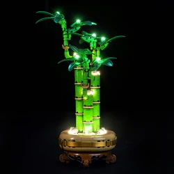 Vonado 5V LED lighting 10344 set suitable for Lucky Bamboo building block gift (excluding building blocks)