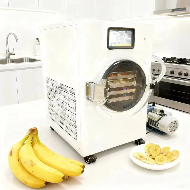 Compact Home - User-friendly Freeze Dryer For Preserving Vegetables And Meat Dehydration Commercial Equipment