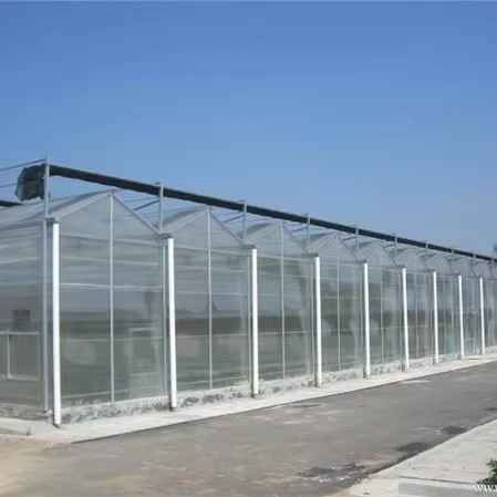 

Customized greenhouseSmart Modern Hydroponic Greenhouse with PC Sheet & Steel Frame - Custom Sizes for Commercial Using