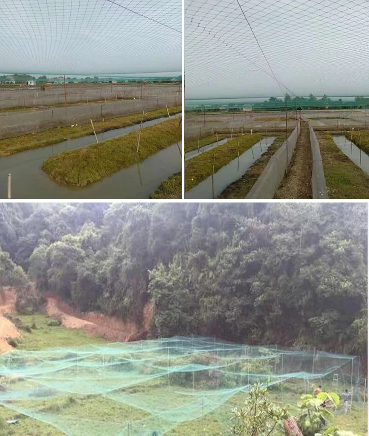 Red antiaves de alta resistencia para jardín, valla anticiervos, Red de jardín y cultivos, malla protectora para antiaves cercado, ciervo, gato,