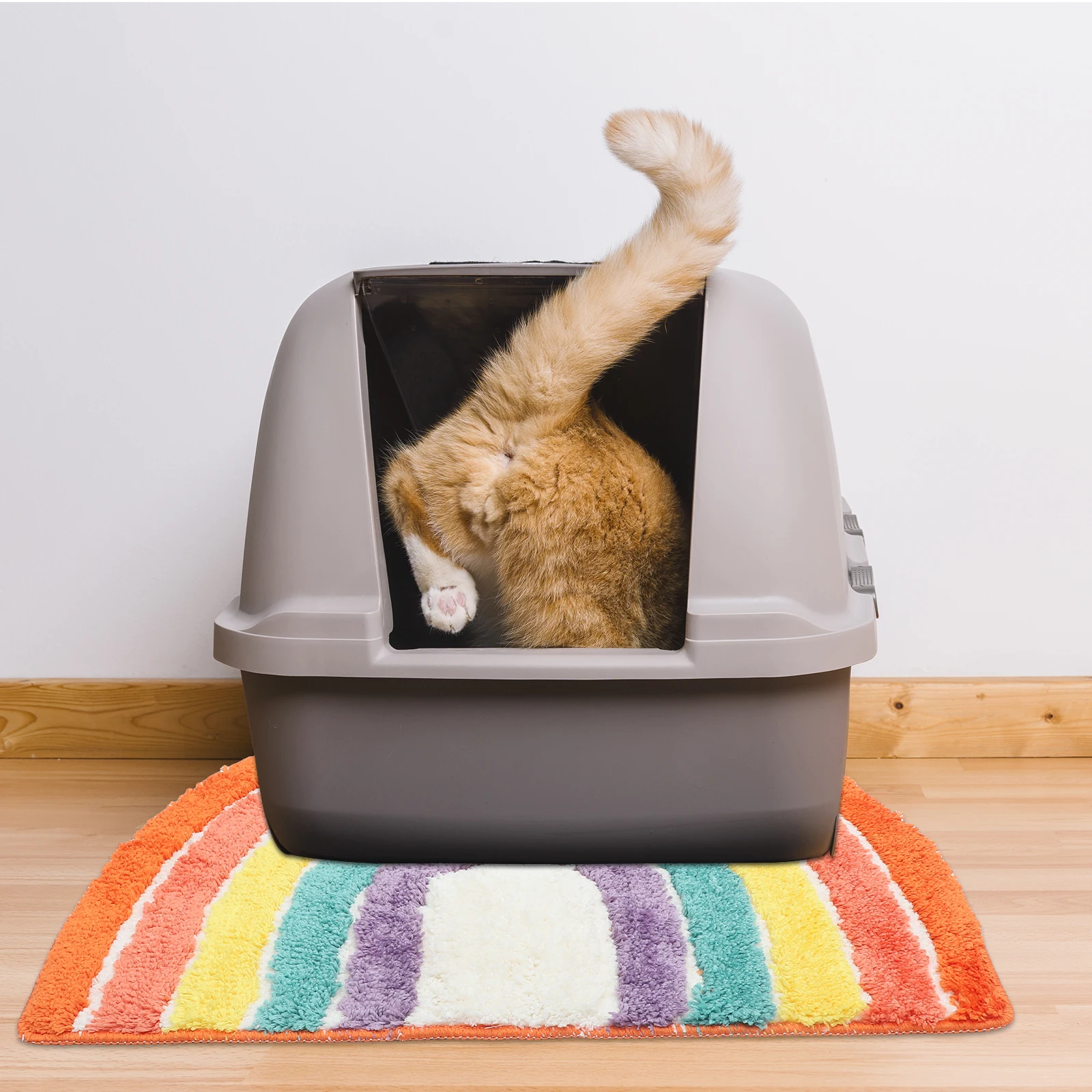 

Rainbow Cat Litter Box Mat 45x65CM Non Slip Large Size Litter Trapping Mats Pet Supplies Household Cat Food Pad