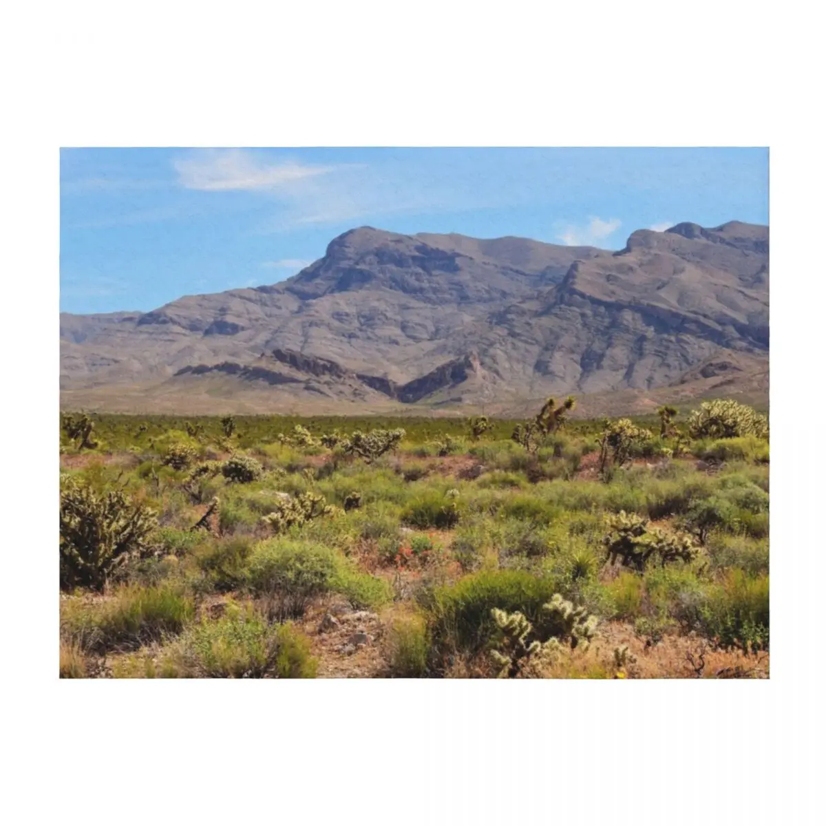 

Painted Desert - I Throw Blanket christmas gifts Single Beach For Sofa Thin Blankets