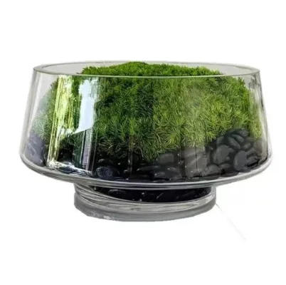large-mouth glass flowerpot succulent moss micro-landscape narcissus hydroponic vase flower vessel
