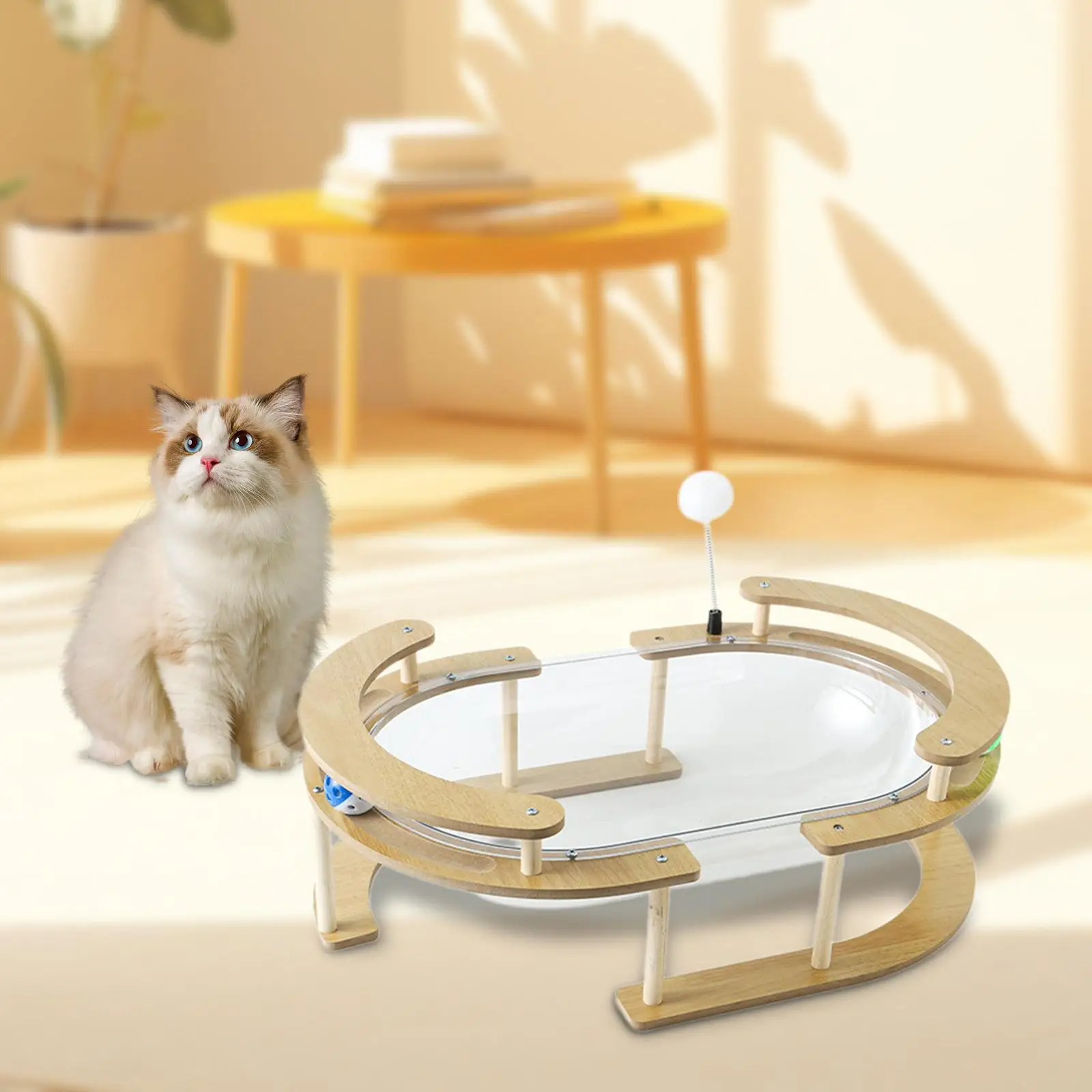 

Space Capsule Cat Bed for Indoor Cats Stable Multifunctional Transparent Small Pet Bed Toy Pet Accessories for Kitten Kitty Cat