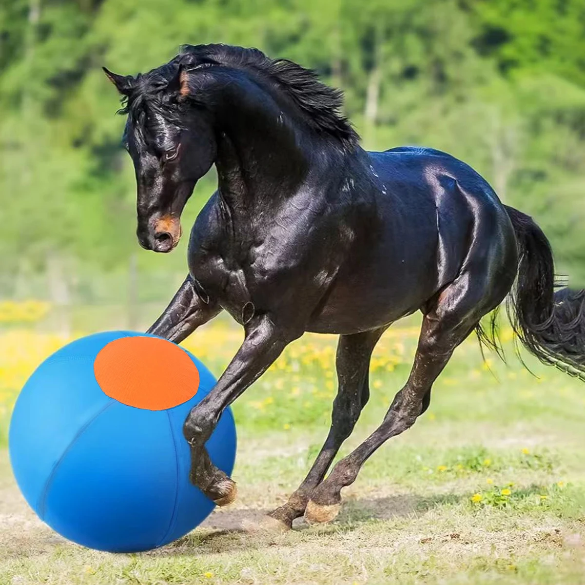 

Four-legged Animal Game Ball Outdoor Pet Dogs Herding Ball Inflatable Interactive Toy Ball Horse Training Agility Equipment Ball