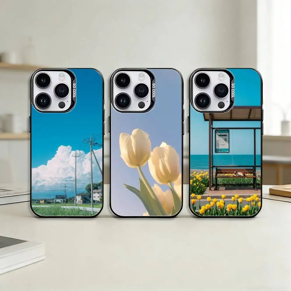 

B-Beautiful S-Scenery Phone Case For iPhone 17,16,15,14,13,12,11,Pro Max,Plus Candy Silver Cover