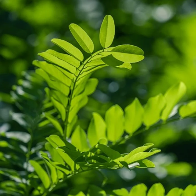 

Металлический передний задний бампер для радиоуправляемого автомобиля для 1/10 RC Crawler TRX-4 Defender Axial SCX10 SCX10 iii 90046 AX103007
