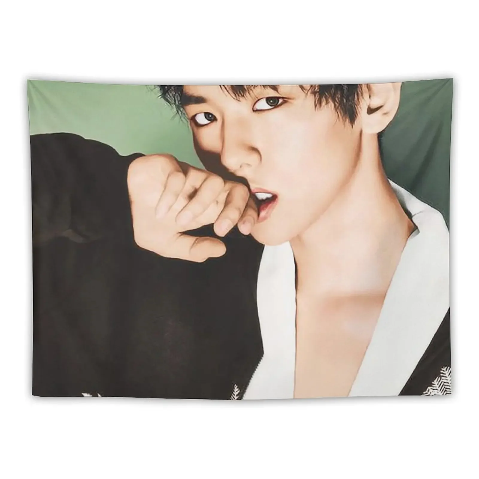 

Baekhyun Tapestry Wall Decorations Room Aesthetic Decor Funny Tapestry