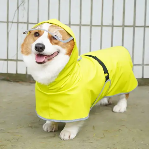 소형 중형 대형견 비옷, 올 인클루시브 코기 테디 법 망토, 대형견 옷, 배 보호, 애완동물 비옷