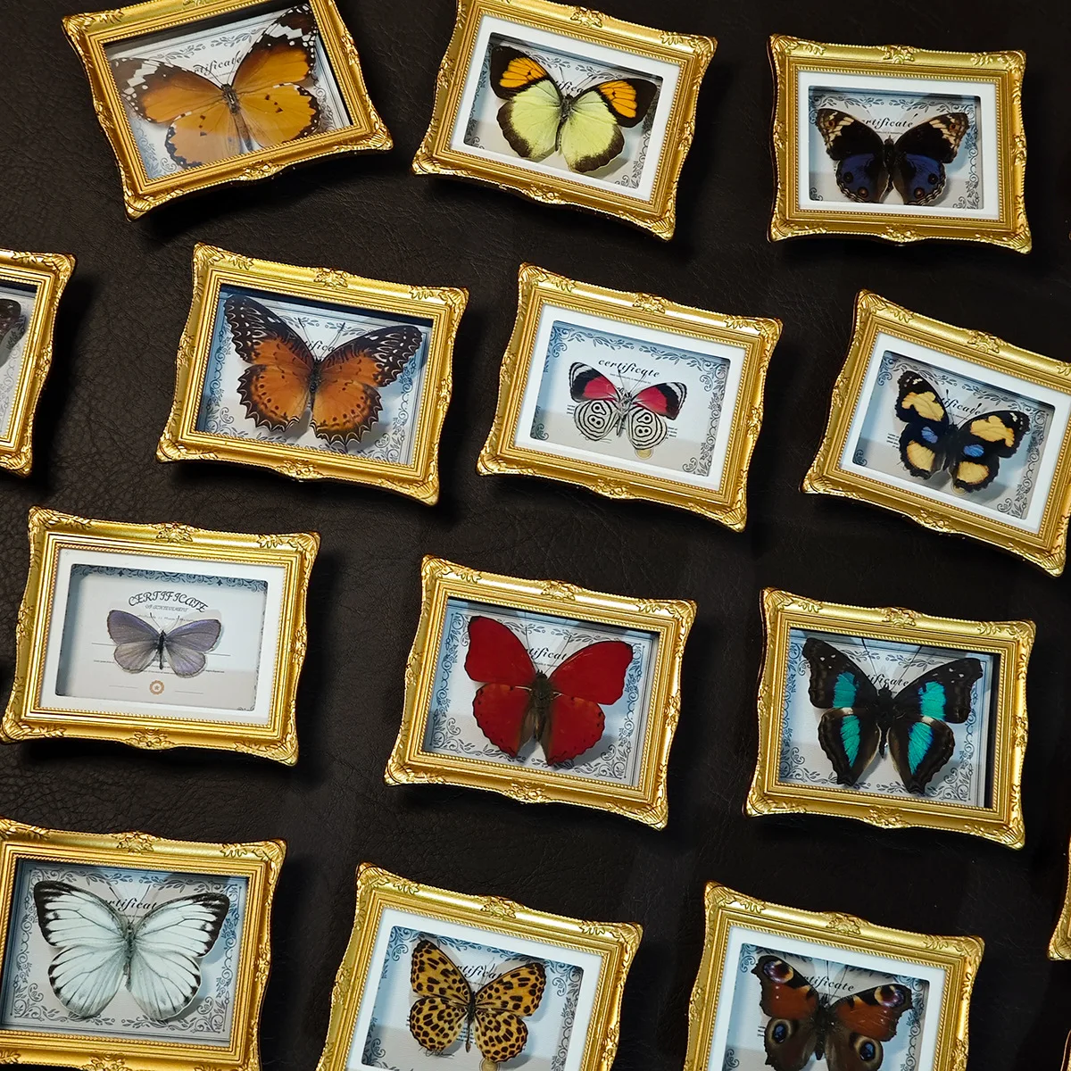 Magnetic Butterfly Fridge Sticker, European Photo Frame Home Decor, Birthday Gift, Science Teaching Aid