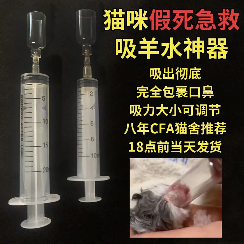 Pet cat first aid newborn delivery sucking amniotic fluid to assist breathing