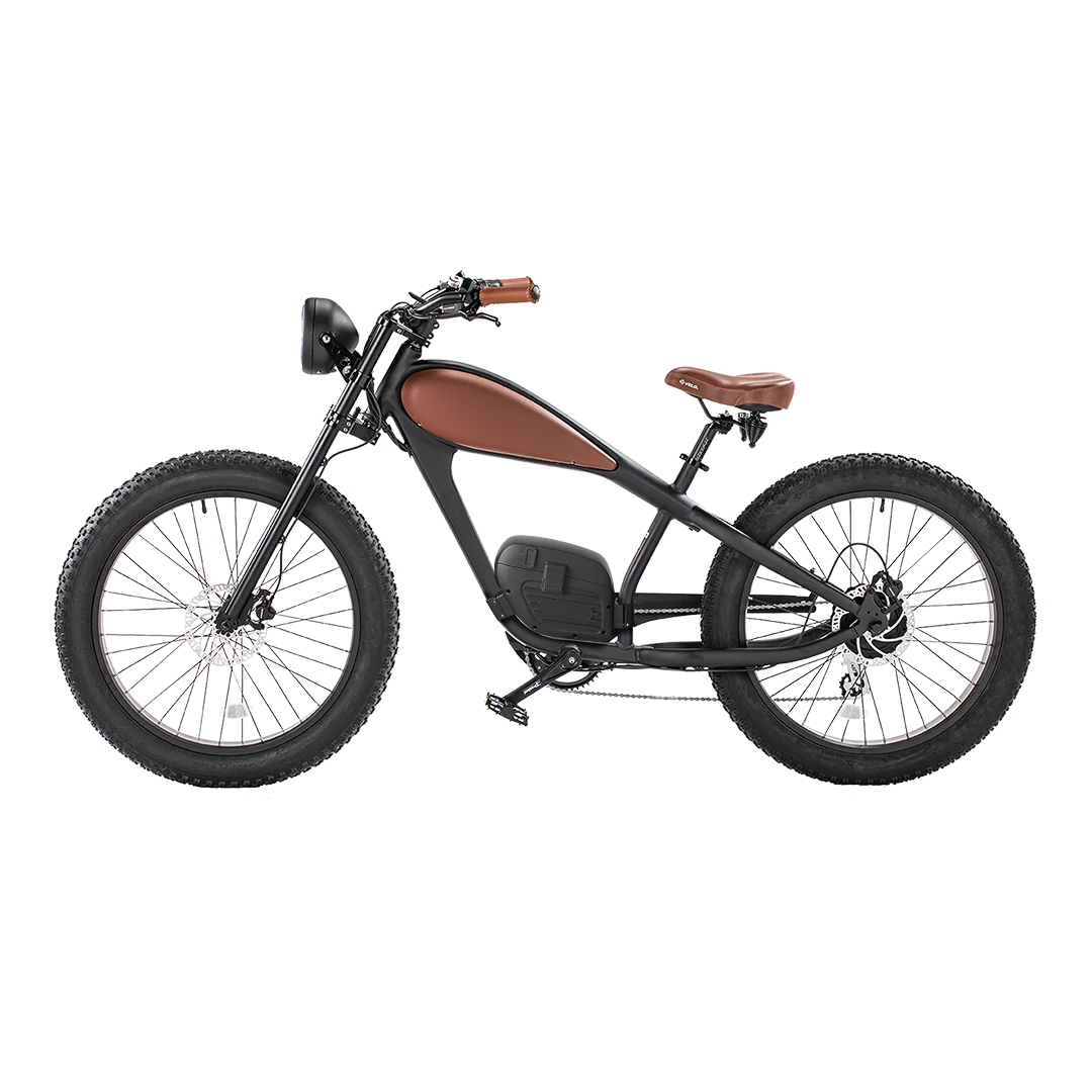 Clrak 2025 BISEK  New Fashion 36V 48V 350W/500W 30ah Dual Batteries Colorful Display 120KM Range Electronic Bike For Canada / US