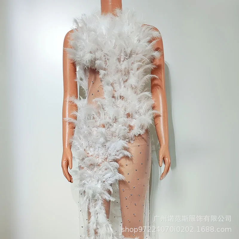 Seksowna biała sukienka z siateczki z piórami, prześwitująca, strój na występy w klubie nocnym, odzież dla piosenkarki, moda biznesowa, ubrania do śpiewania, sukienki wieczorowe