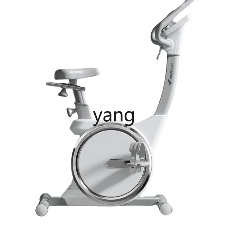 Yhl Home Gym Bicycle Magnetic Control Weight Loss Equipment Indoor Exercise