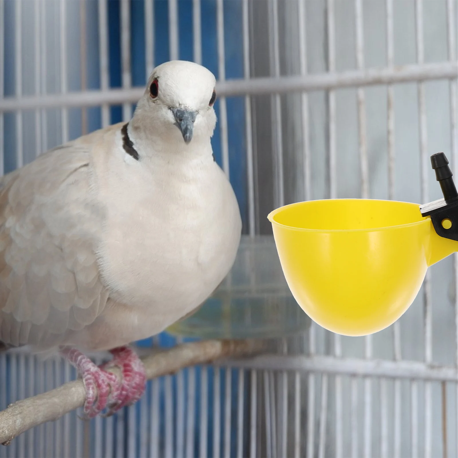 

10pcs Automatic Waterer For Chickens Durable Chicken Water Cups No Spill Pigeon Parrot Cage Feeder Farm Pet Use