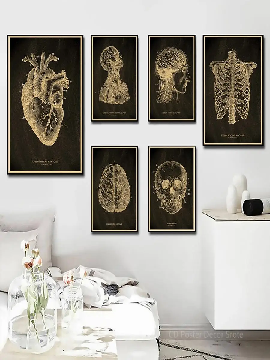 Vintage Anatomical Art Poster  Heart Skull Brain Kraft Paper Chalkboard  Medical Skeleton Wall Decor for Home Room Office