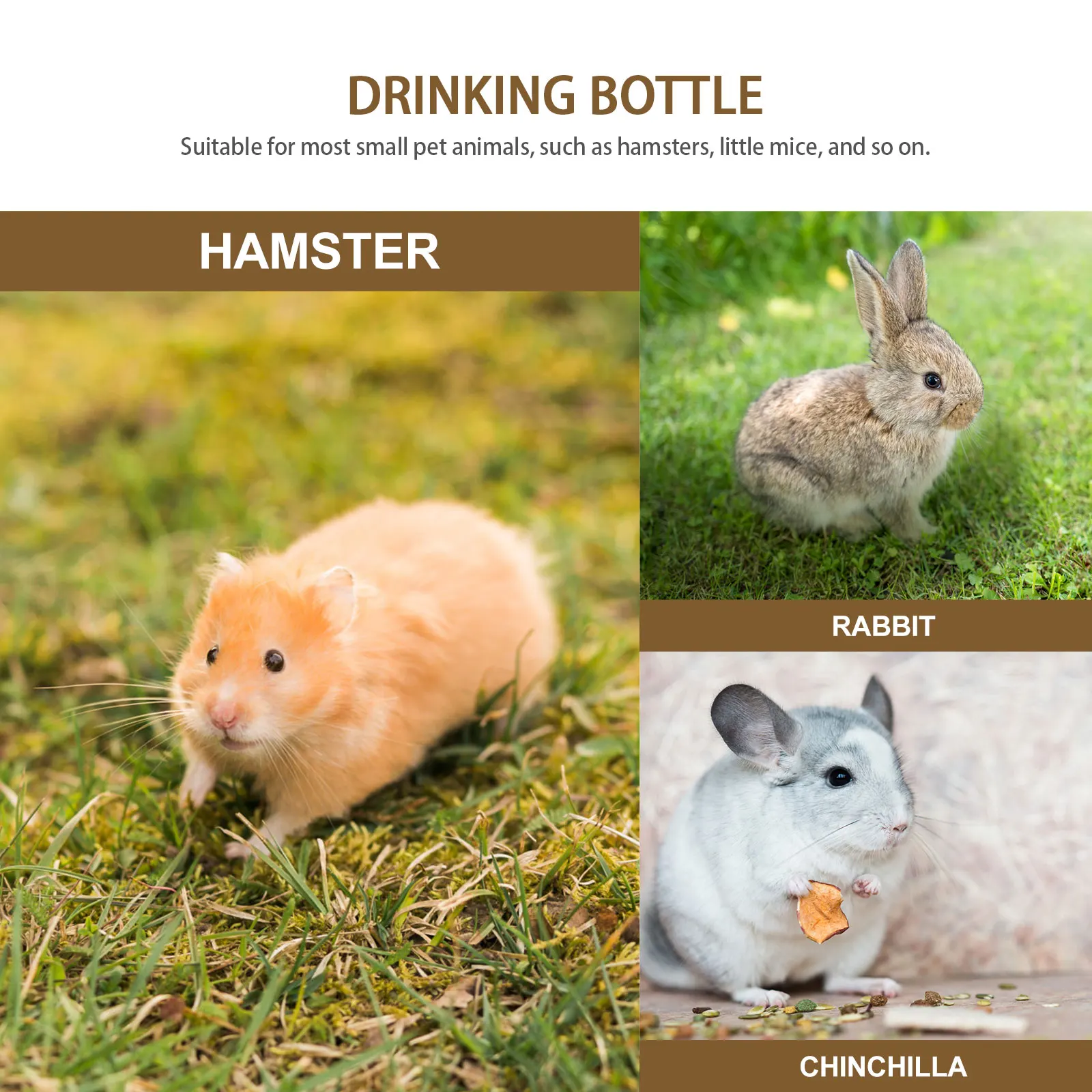 

1Set Rabbit Water Dispenser Hanging Feeder for Small Material Comfortable Drinking Experience Rabbit Water Bottle