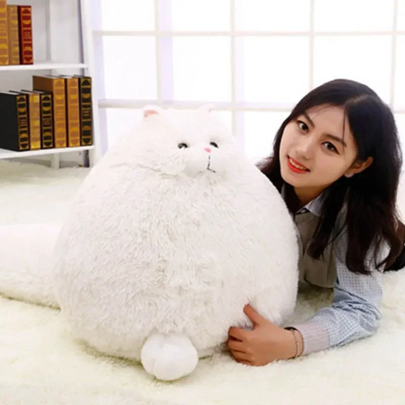 Cute Doll & Stuffed Persian Cat Plush Toy Soft Pillow Children Fun Animal Fluffy Stuff Baby Birthday Gifts for Kids Dropshipping