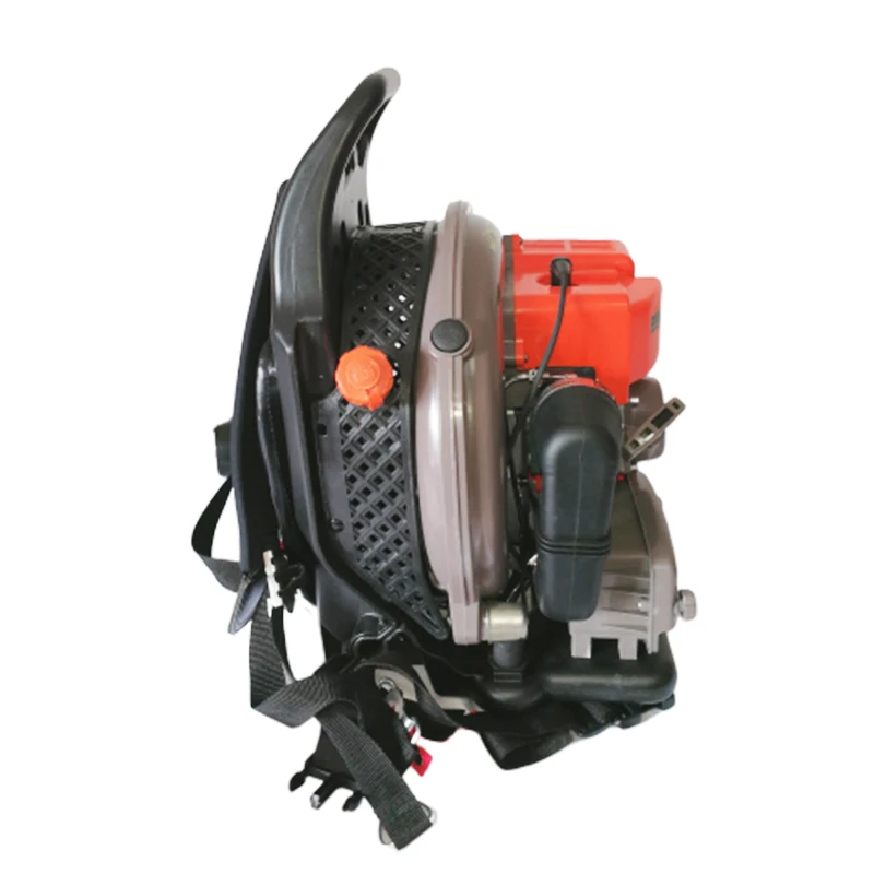 EB650P المهنية الغاز منفاخ الثلج 2.7kW حقيبة ظهر قوية الرياح مكنسة الظهر حزمة منفاخ أوراق الشجر مع CE/CPA/EURO V #3