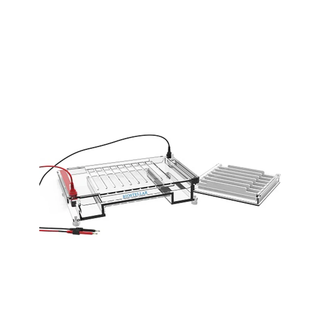 BIOSTELLAR High Quality Agarose Electrophoresis For DNA Gel-Cell Electrophoresis SE-S04 For Lab