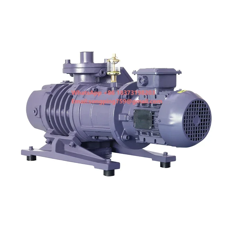 Industrial-Grade 250m³/h Roots Vacuum Pump Made in China for Machining Applications
