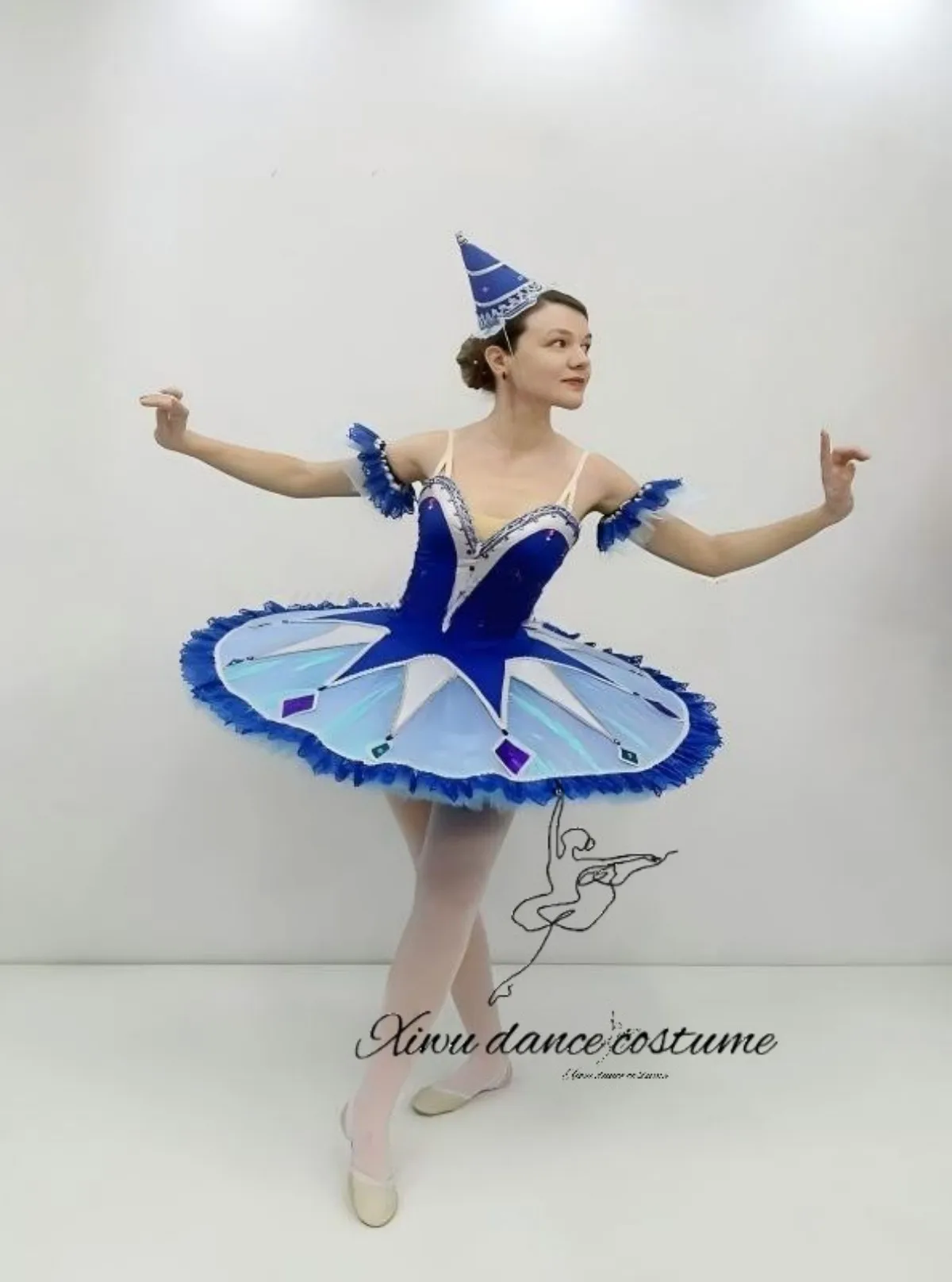 Blue Purple Starry Fairy Ballet Tutu Costume, Women's Professional Stage Performance Dress with Clown Hat