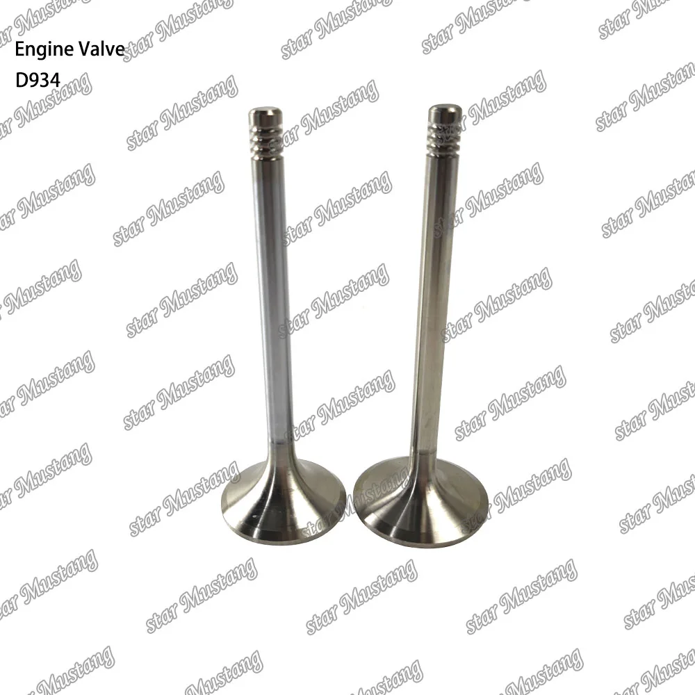 D934 Engine Valve Suitable For Liebherr Engine Parts