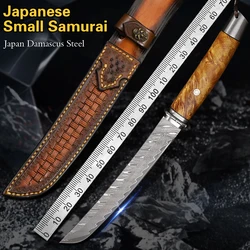 Premium Damascus Steel Fixed Blade,Outdoor Knife,Hunting,Hiking and Expedition Wilderness Survival EDC Tool,Best Gift for Men