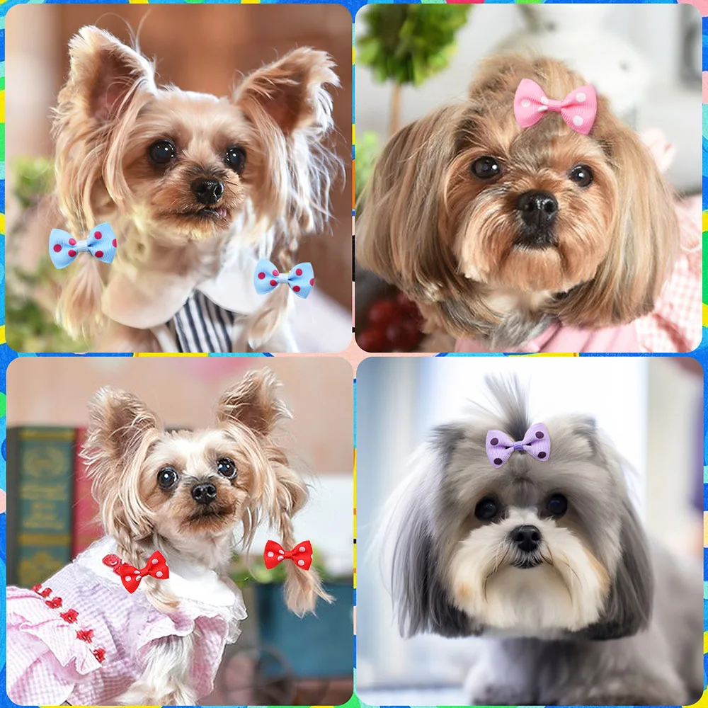 Thumbnail 4 - #26 Top Pet Grooming Supplies Picks for Every Budget