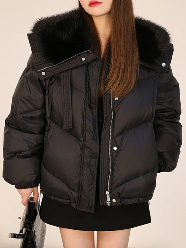 

Loose collar design, Korean SLE commuting polyester fiber, fashionable women's down Jaet cotton