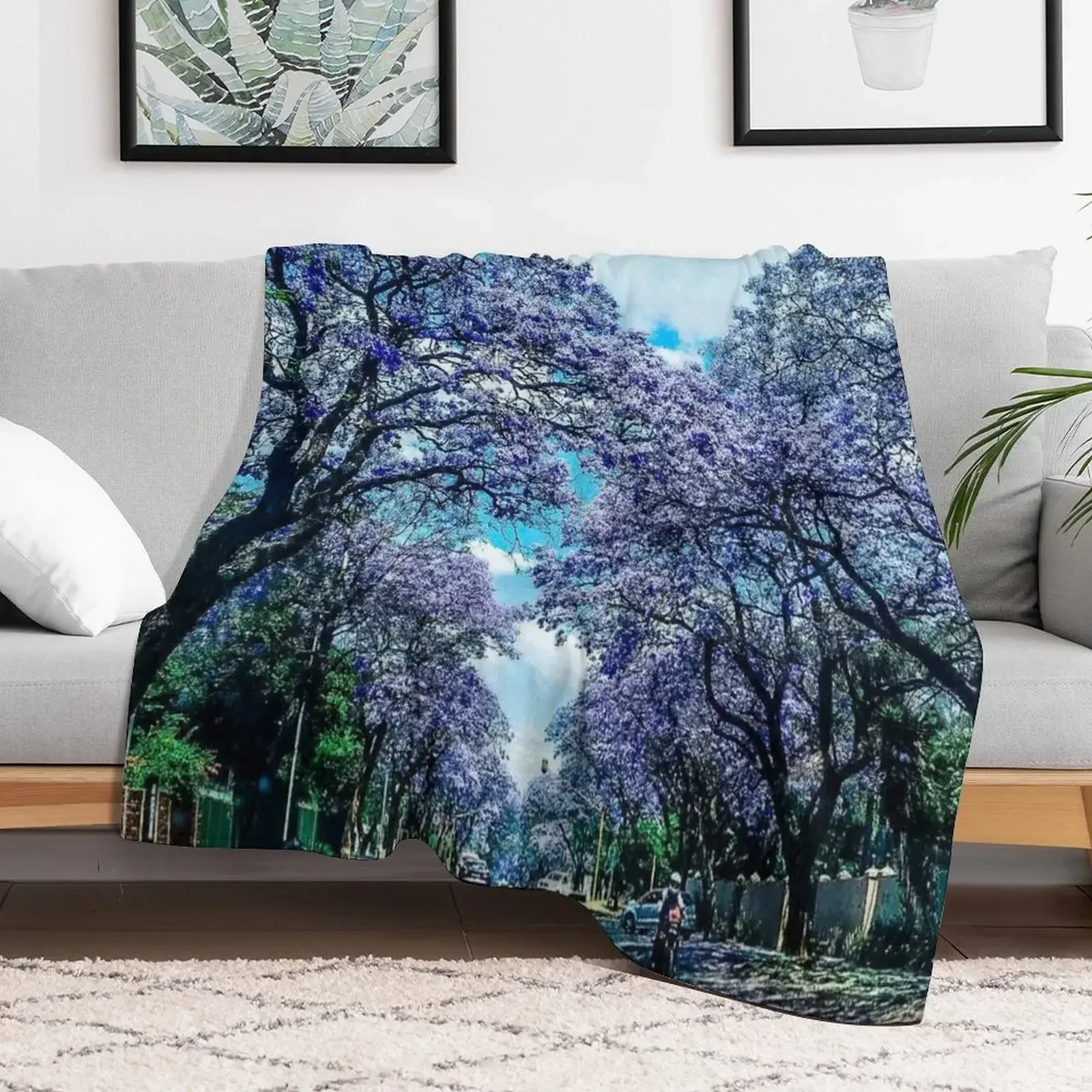 

Jacaranda trees in Pretoria Throw Blanket Baby Beach Custom Blankets