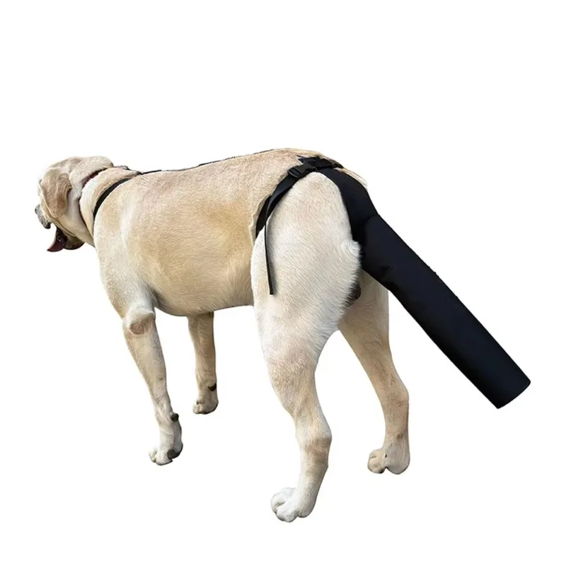 

Adjustable Anti-Licking Biting Protective Gear for Pet Dogs Cross-Border Tail Cover Hair Loss Grooming Pet Training Supplies