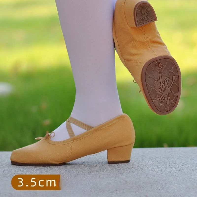 Scarpe da ballo professionali Scarpe da danza del ventre latino con suola morbida da donna Tacco medio per adulti Suola in gomma per esterni
