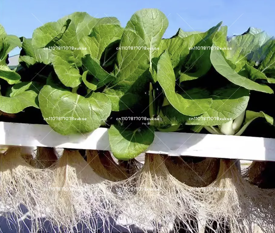 

Hydroponic System Home Garden Vegetable Hydroponics Clone Tray ABS Nursery Pot Aeroponic Seed Planting Tray with Spray system
