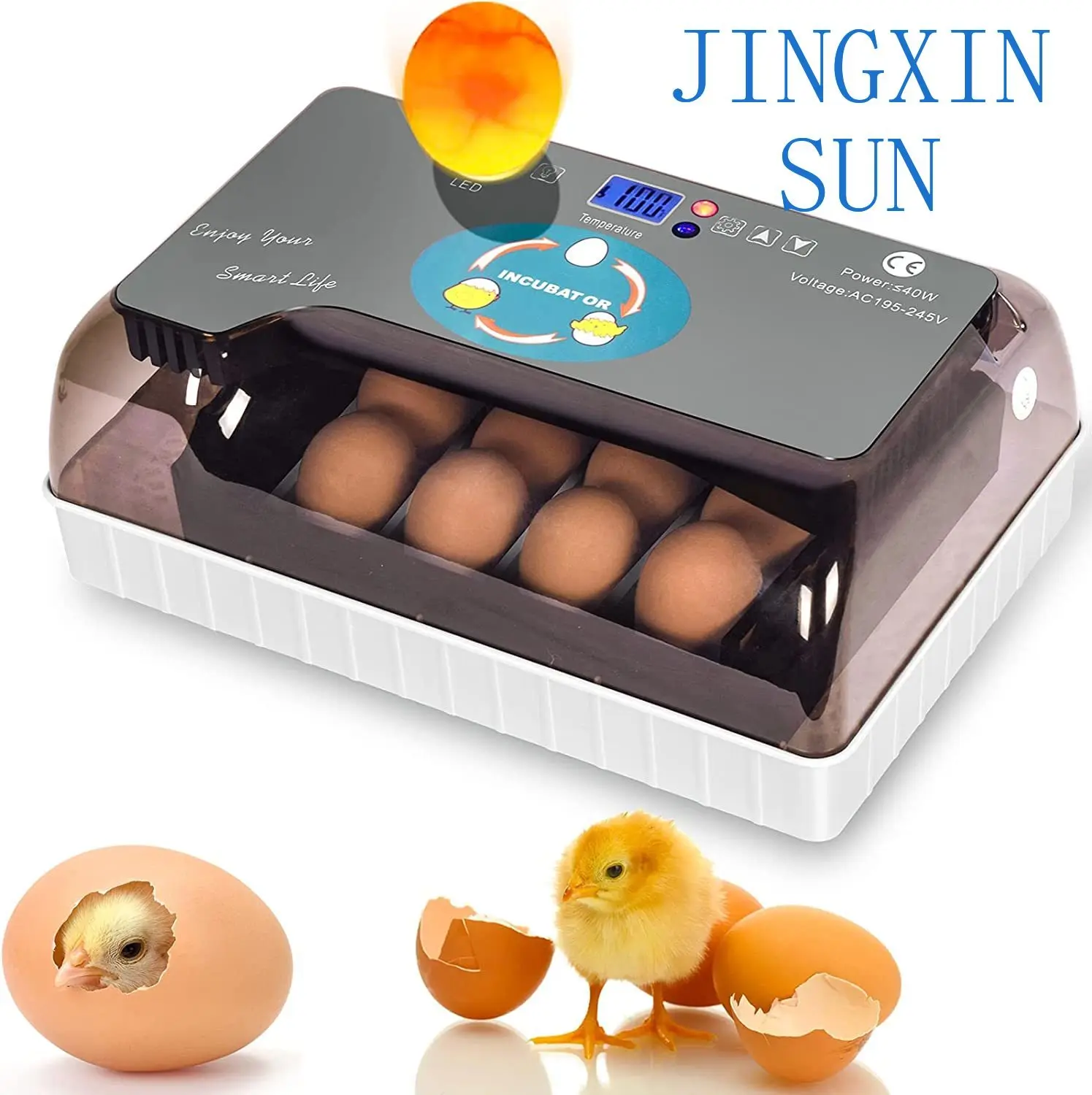 Automatic Best Digital 12 Chick egg Hatchery machine Brooder egg incubator egg incubator Hatcher for goose chicken quail