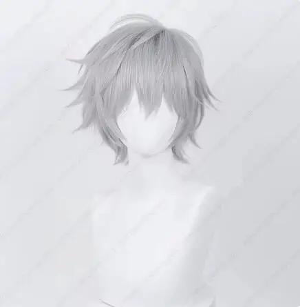 Anime EVA Kaworu Nagisa Cosplay Wig 32cm Silver Grey Short Wigs Heat Resistant Synthetic Hair Halloween Party