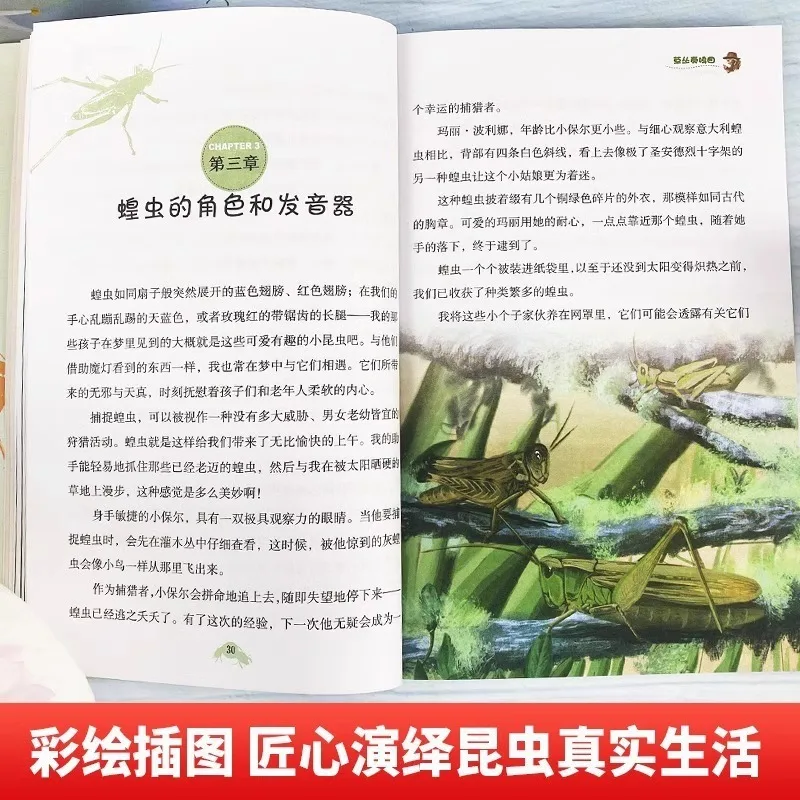 Insectencyclopedie voor kinderen: buitenschoolse leesboeken