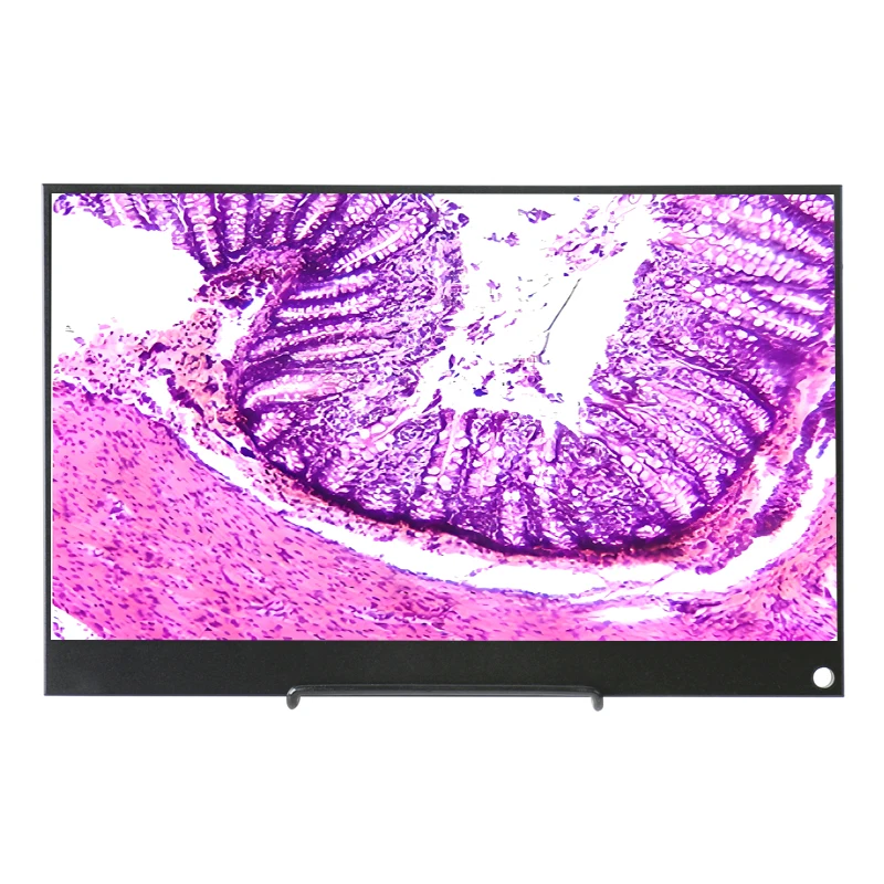 4K 3840 x 2160 HDMI Type-c الصناعية 10.1 13.3 15.6 بوصة LCD شاشة عرض مكتبية شاشة عرض التلفزيون لصناعة مجهر الفيديو