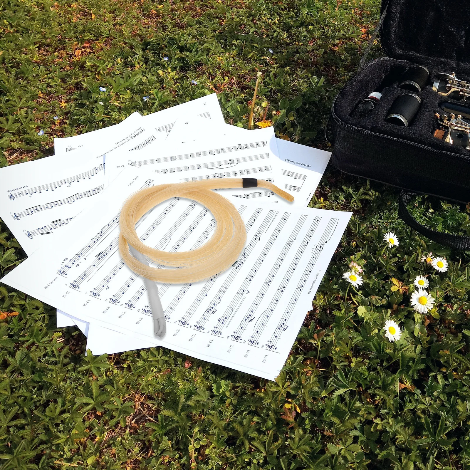 

Erhu Bow Hair Replacement Premium Horse Hair for Violin Viola Fiddle Bow Smooth Sound Musical Instrument Accessories