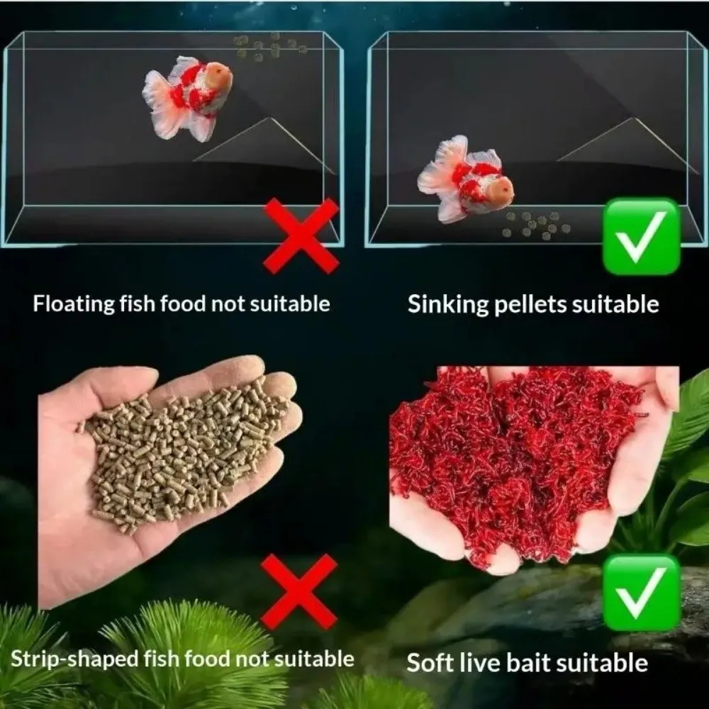 Clean Water Fish Pacifier Feeder No Turbid Water Precise Fixed Point Food Dispenser Fixed Point Maintains Healthy Tank