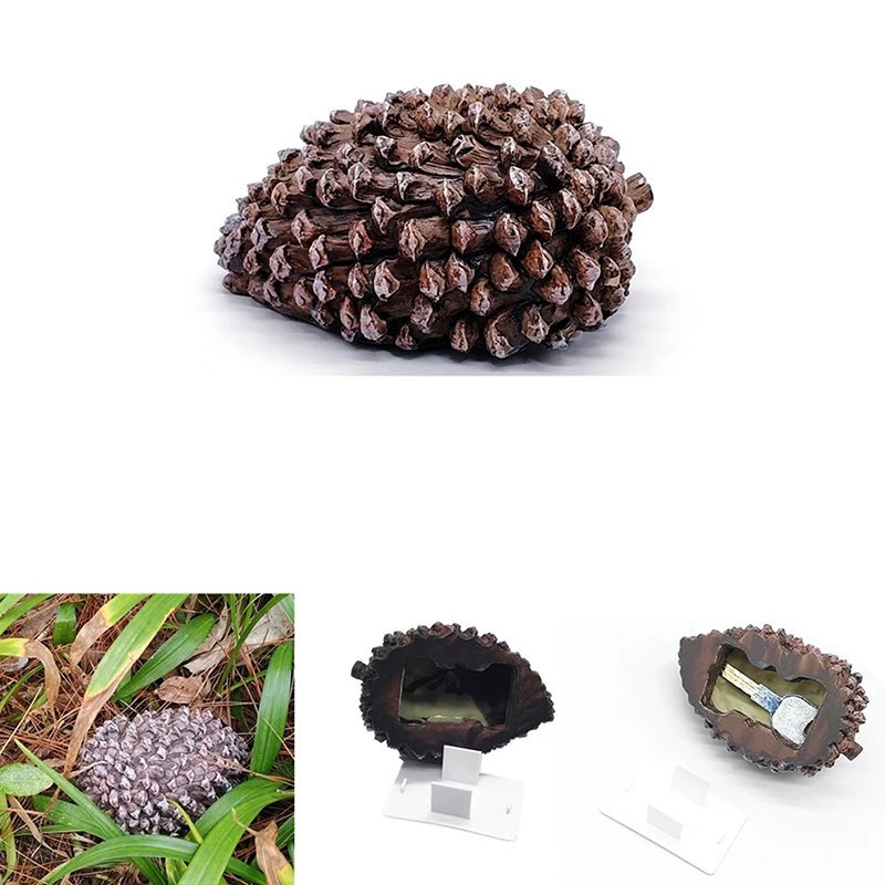 Creative Dummy Pine Cones Mini Hidden Safe Box Secret Compartment Stash Box Empty Storage Box Hide and Store Money Pills Coin